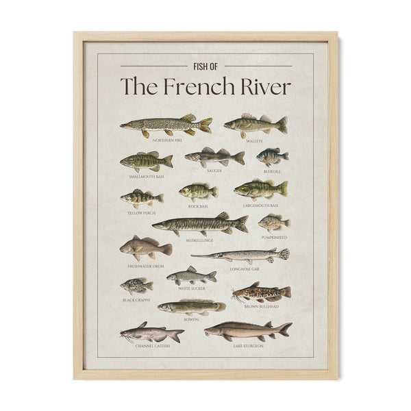 French River Print