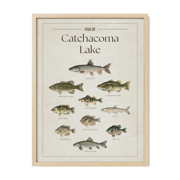 Catchacoma Lake Print