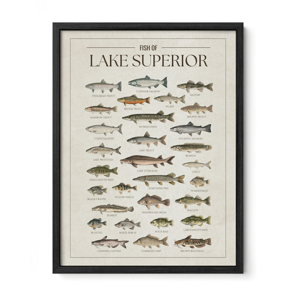 Lake Superior Print