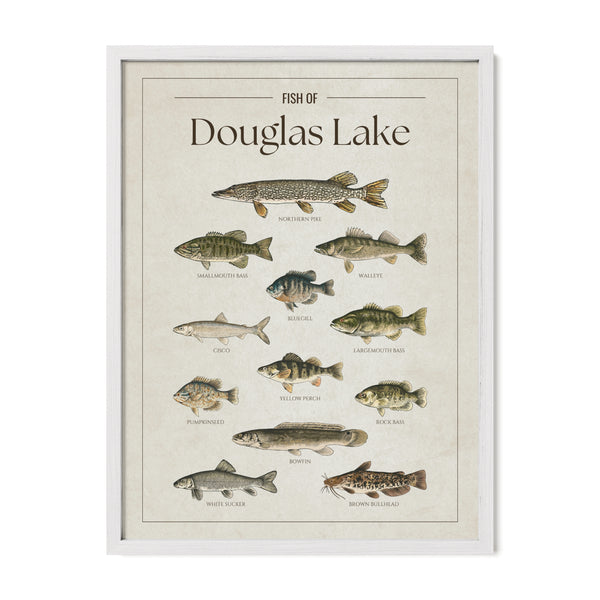 Douglas Lake Print