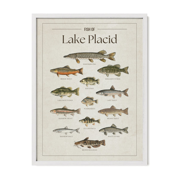 Lake Placid Print