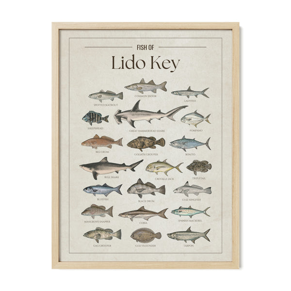 Lido Key Print