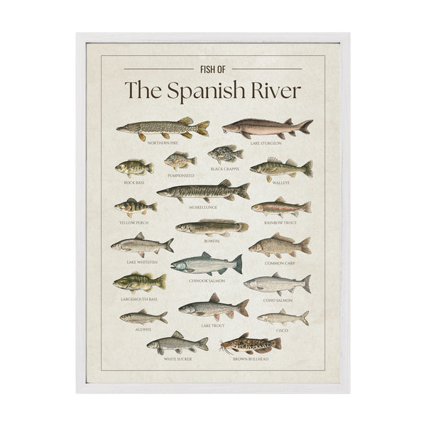 Spanish River Print