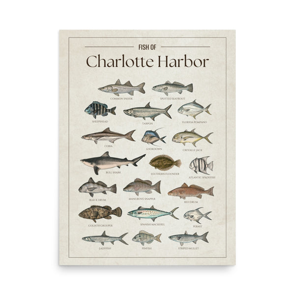 Charlotte Harbor Print