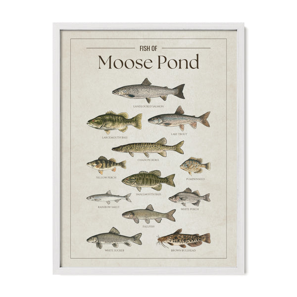 Moose Pond Print
