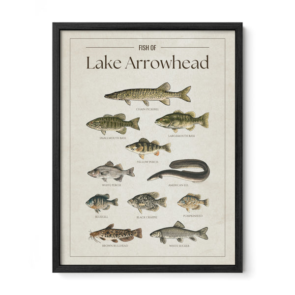Lake Arrowhead Print