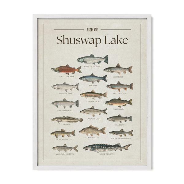 Shuswap Lake Print