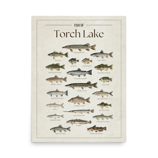 Torch Lake Print