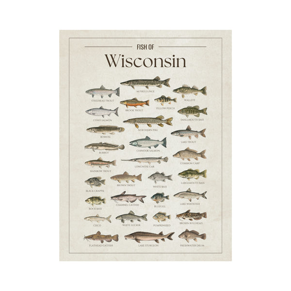 Wisconsin Print