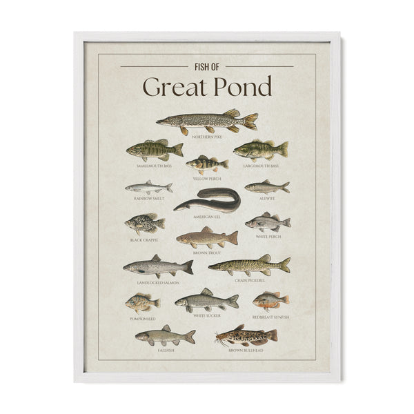 Great Pond Print