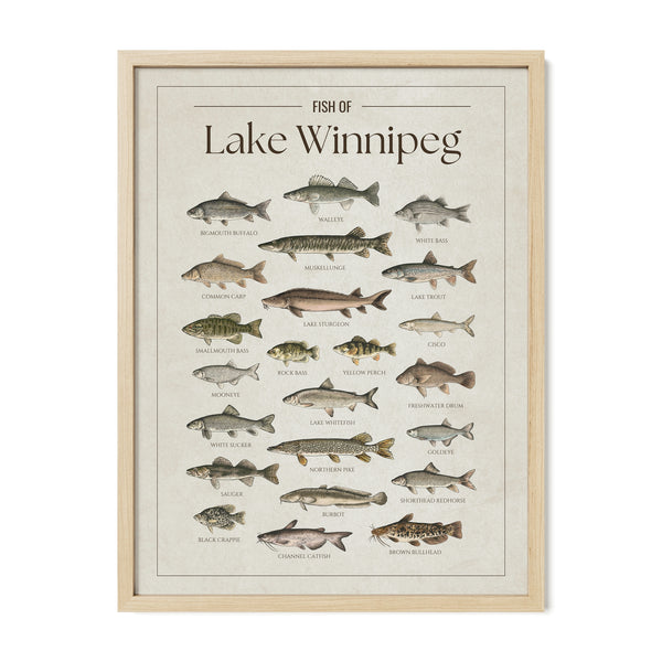Lake Winnipeg Print