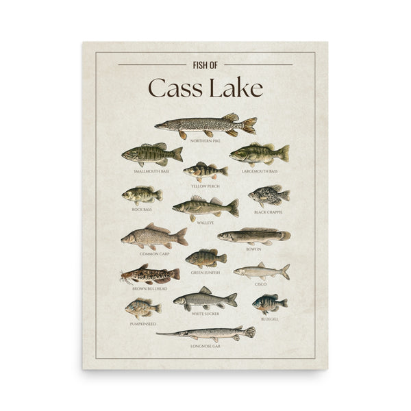 Cass Lake Print