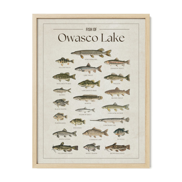 Owasco Lake Print