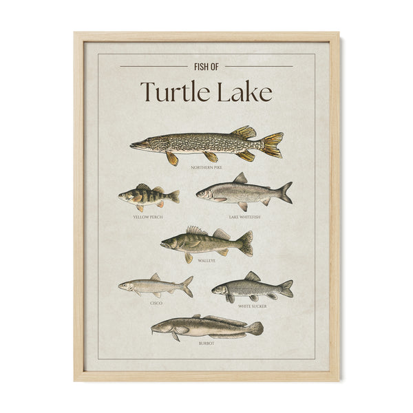 Turtle Lake Print