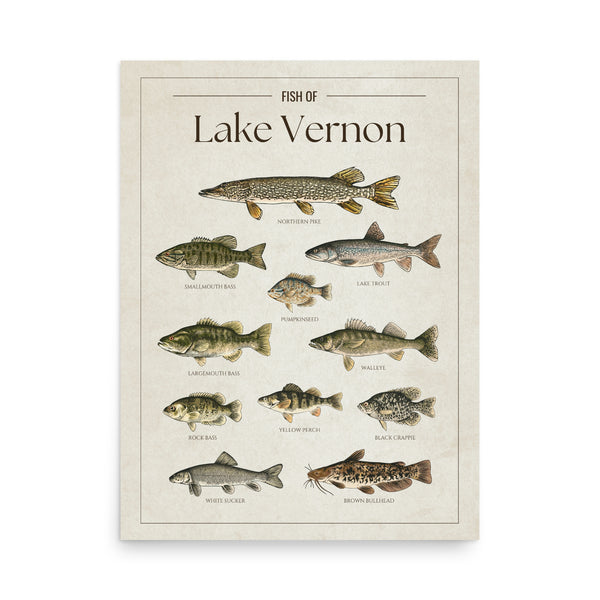 Lake Vernon Print