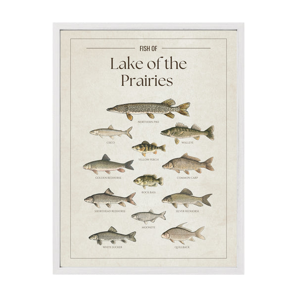 Lake of the Prairies Print