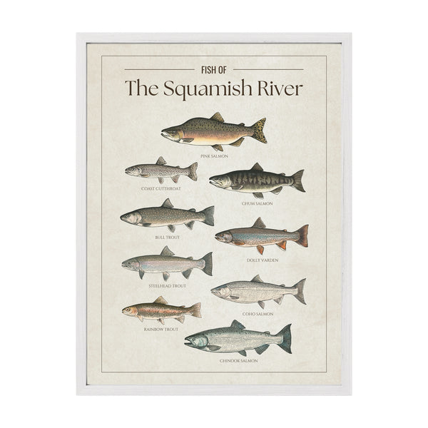Squamish River Print