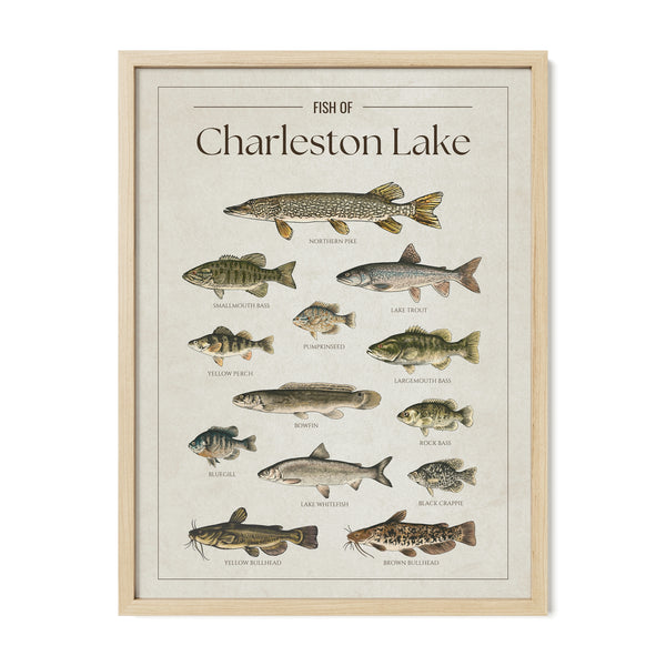 Charleston Lake Print