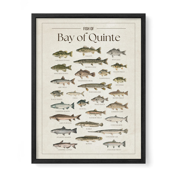 Bay of Quinte Print