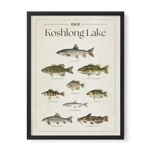 Koshlong Lake Print