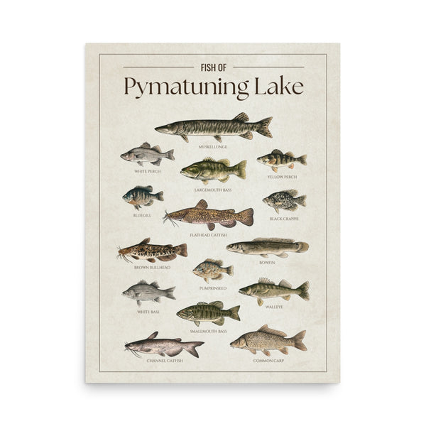 Pymatuning Lake Print