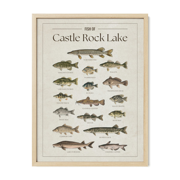 Castle Rock Lake Print