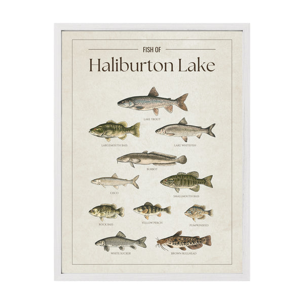 Haliburton Lake Print