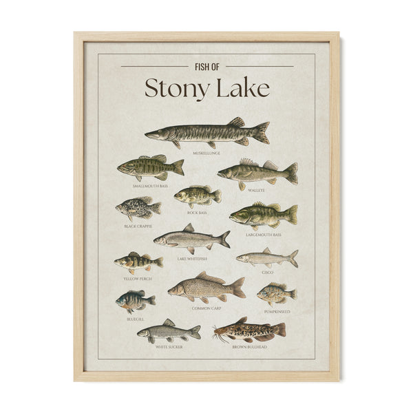 Stony Lake Print
