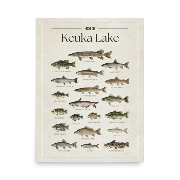 Keuka Lake Print