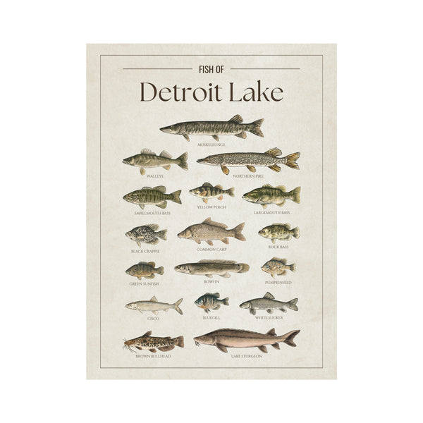 Detroit Lake Print