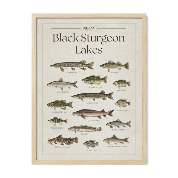 Black Sturgeon Lakes Print