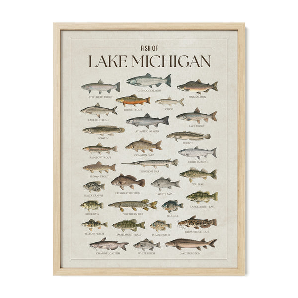 Lake Michigan Print
