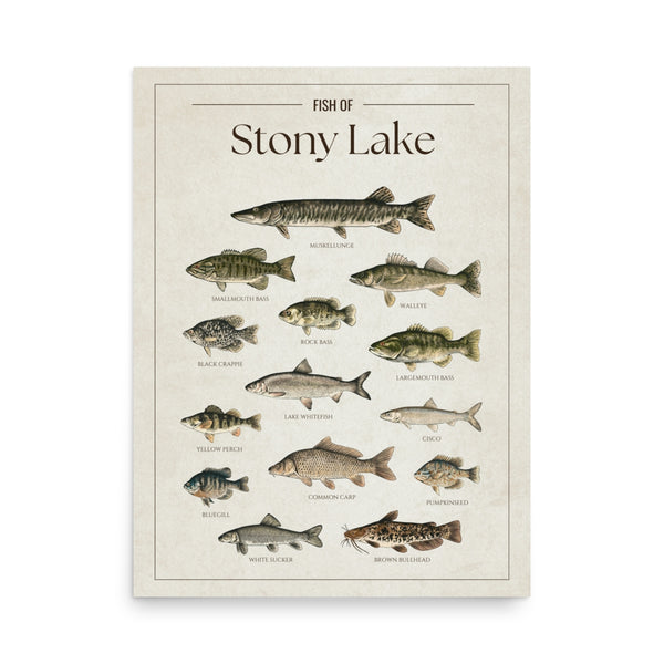 Stony Lake Print