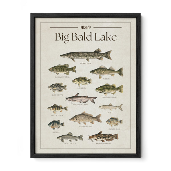Big Bald Lake Print