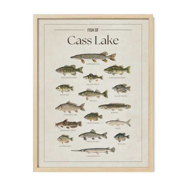 Cass Lake Print