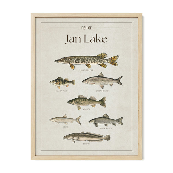 Jan Lake Print