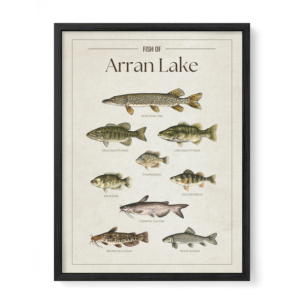 Arran Lake Print