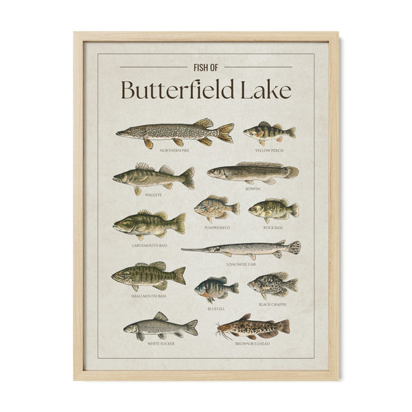 Butterfield Lake Print