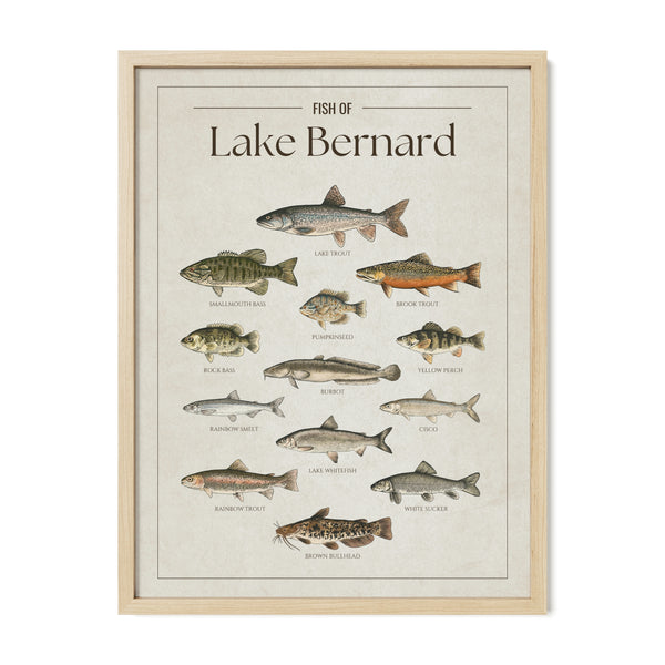 Lake Bernard Print