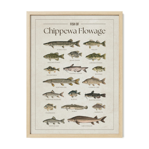 Chippewa Flowage Print