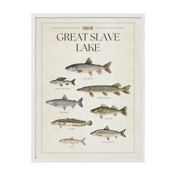 Great Slave Lake Print
