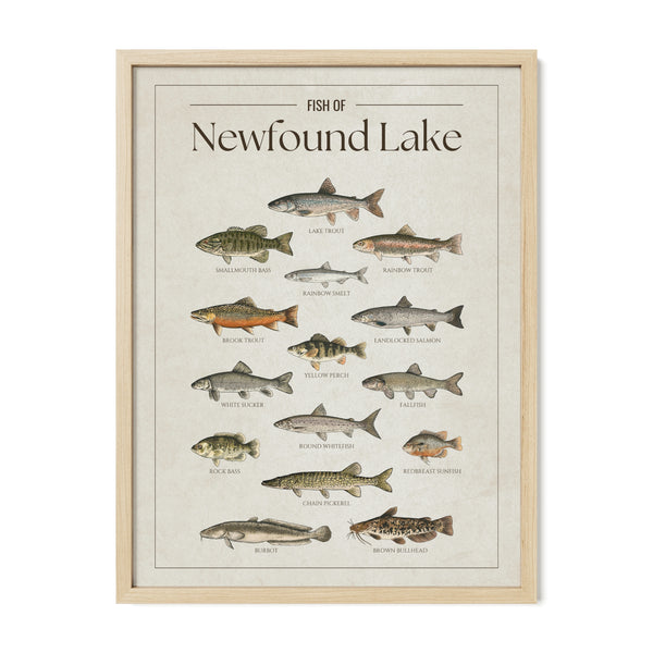 Newfound Lake Print
