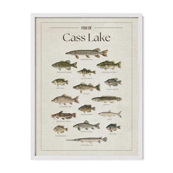 Cass Lake Print