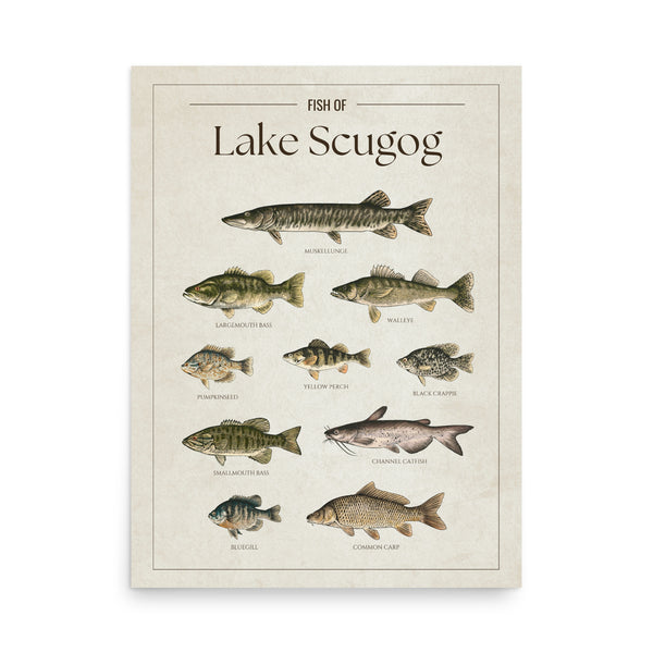 Lake Scugog Print