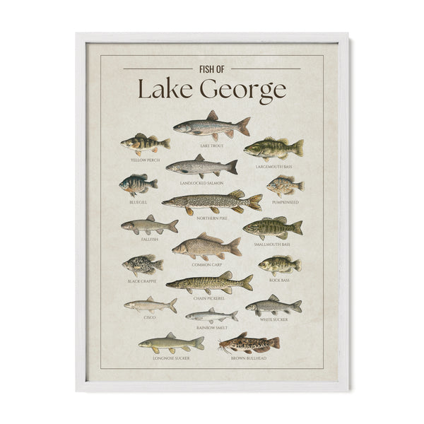Lake George Print