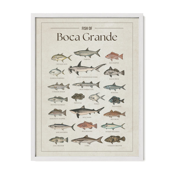 Boca Grande Print