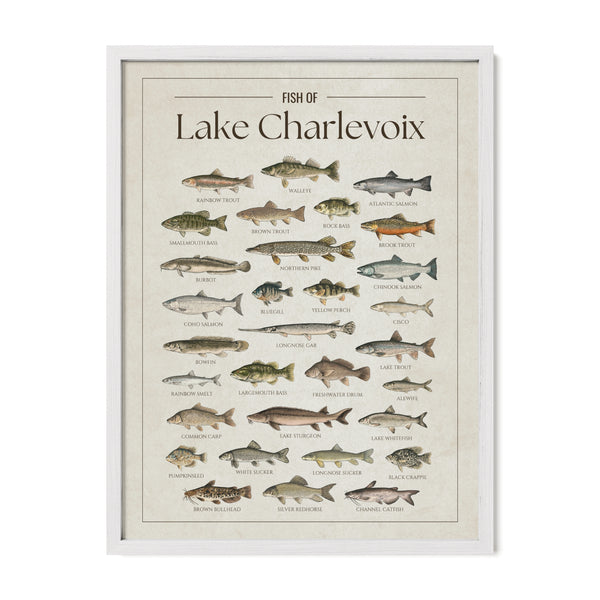 Lake Charlevoix Print