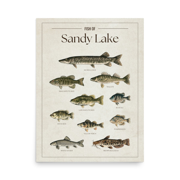 Sandy Lake Print