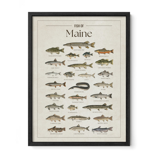 Maine Print
