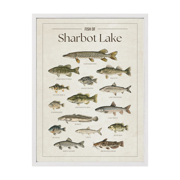 Sharbot Lake Print